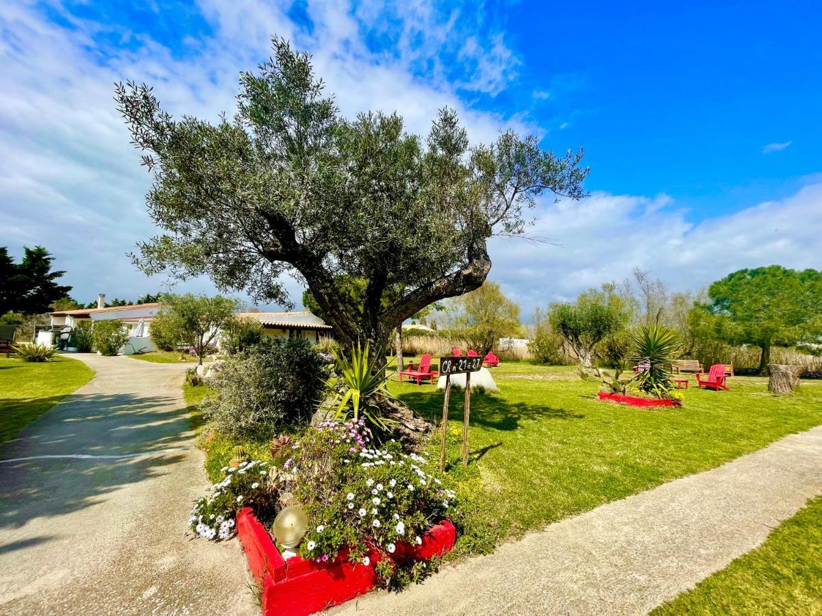 Mas Des Salicornes Hotel Saintes-Maries-de-la-Mer Eksteriør billede