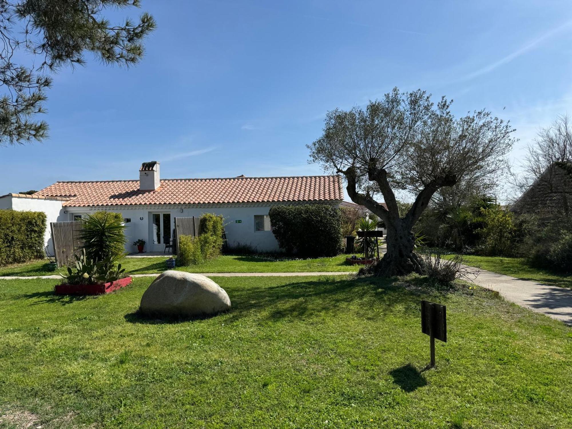 Mas Des Salicornes Hotel Saintes-Maries-de-la-Mer Eksteriør billede